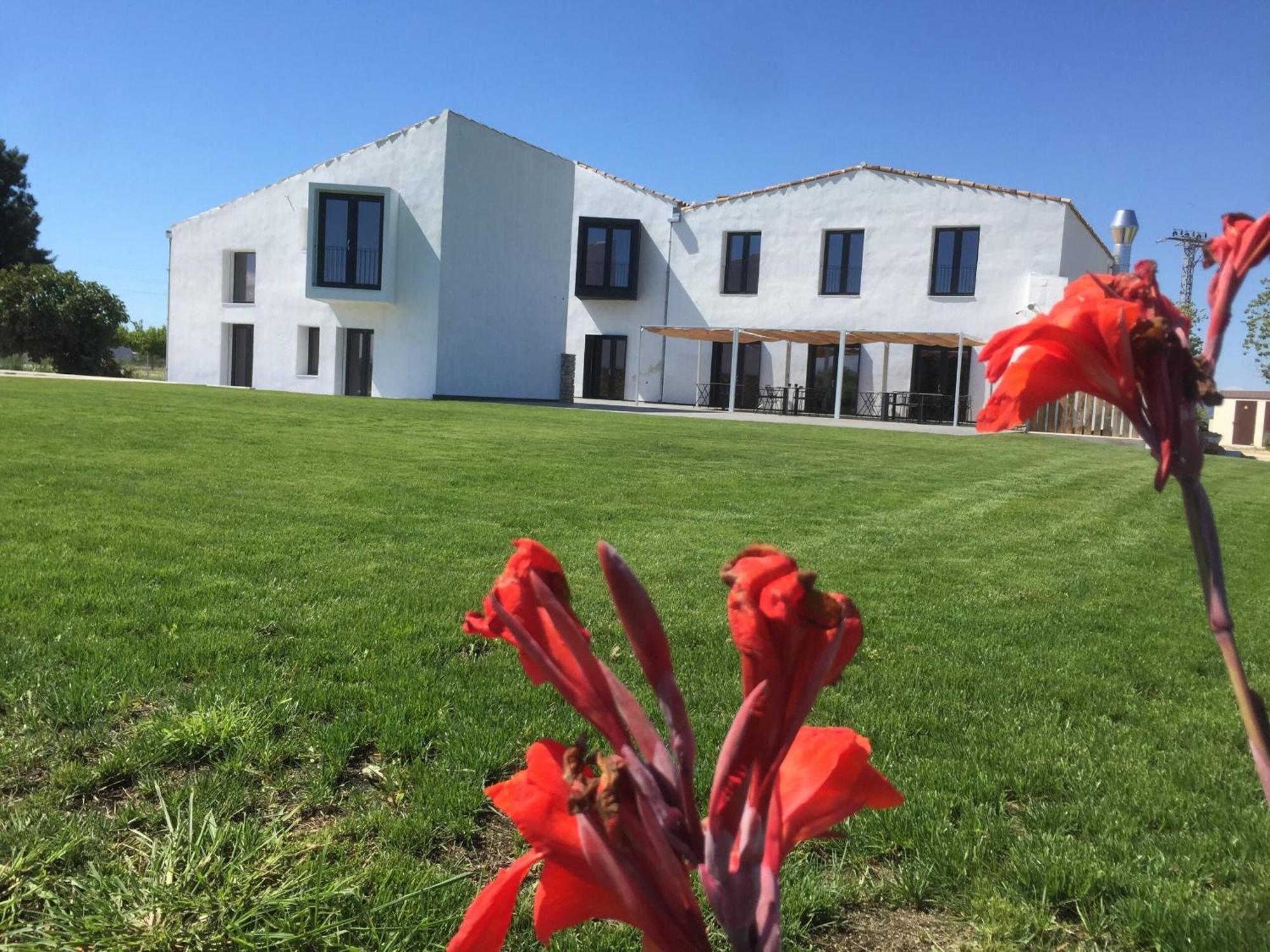 Hotel Mas Catxina Deltebre Bagian luar foto